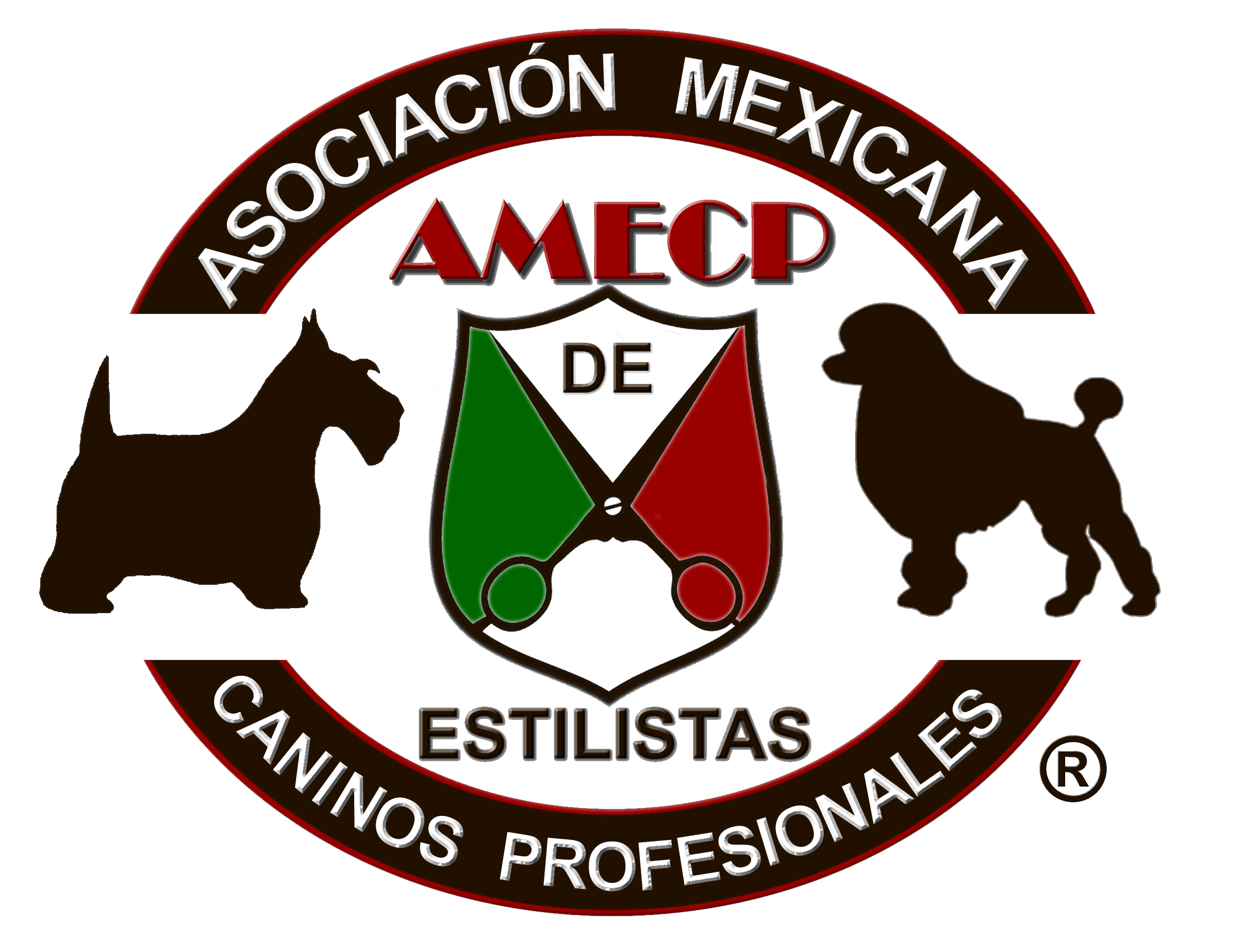 AMECP